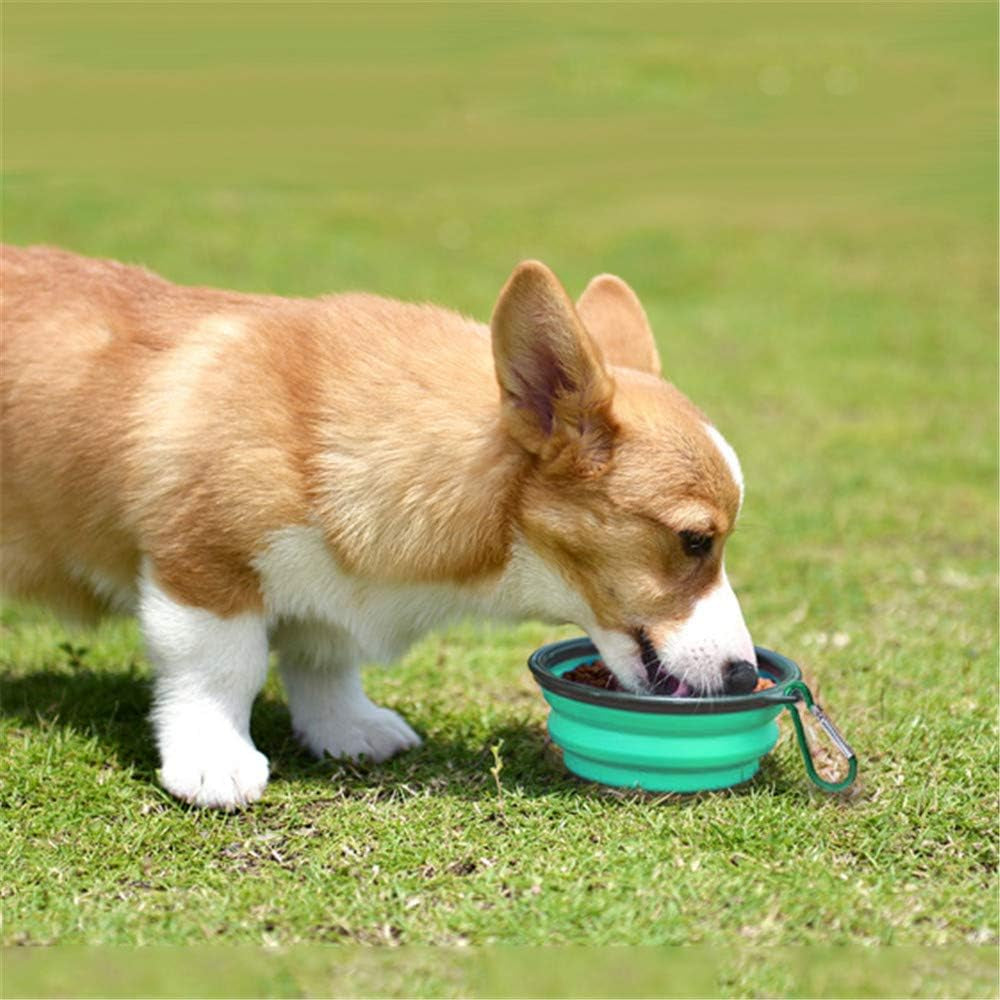 Collapsible Silicone Pet Bowls - 2 Pack, Portable and Expandable Feeder for Dogs and Cats, Ideal for Travel and Camping (Light Blue & Light Green)