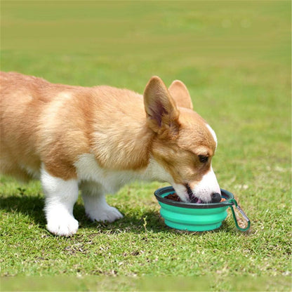 Collapsible Silicone Pet Bowls - 2 Pack, Portable and Expandable Feeder for Dogs and Cats, Ideal for Travel and Camping (Light Blue & Light Green)