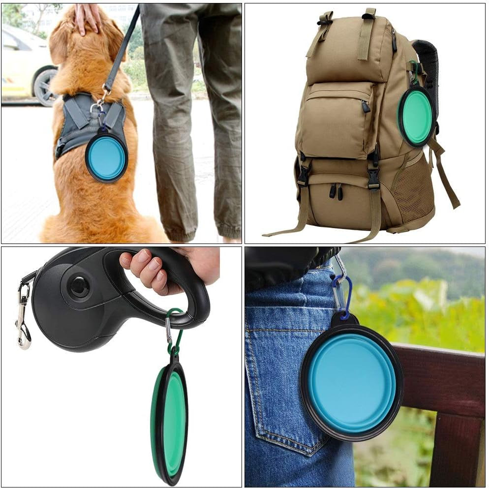 Collapsible Silicone Pet Bowls - 2 Pack, Portable and Expandable Feeder for Dogs and Cats, Ideal for Travel and Camping (Light Blue & Light Green)