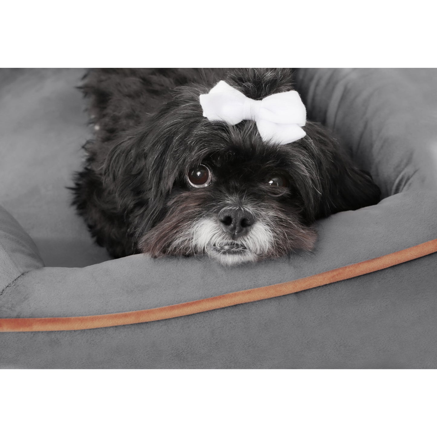 Wyatt Wooden Pet Bed with Mattress | Large to Extra Large Dog Bed, Greenguard Gold Certified