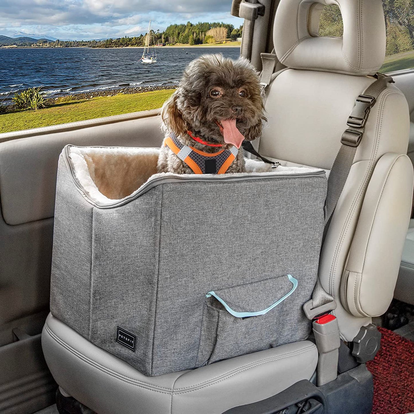 Small Dog Car Seat - Pet Travel Booster Seat with Safety Belt, Washable Double-Sided Cushion, and Storage Pocket (Small, Light Grey)