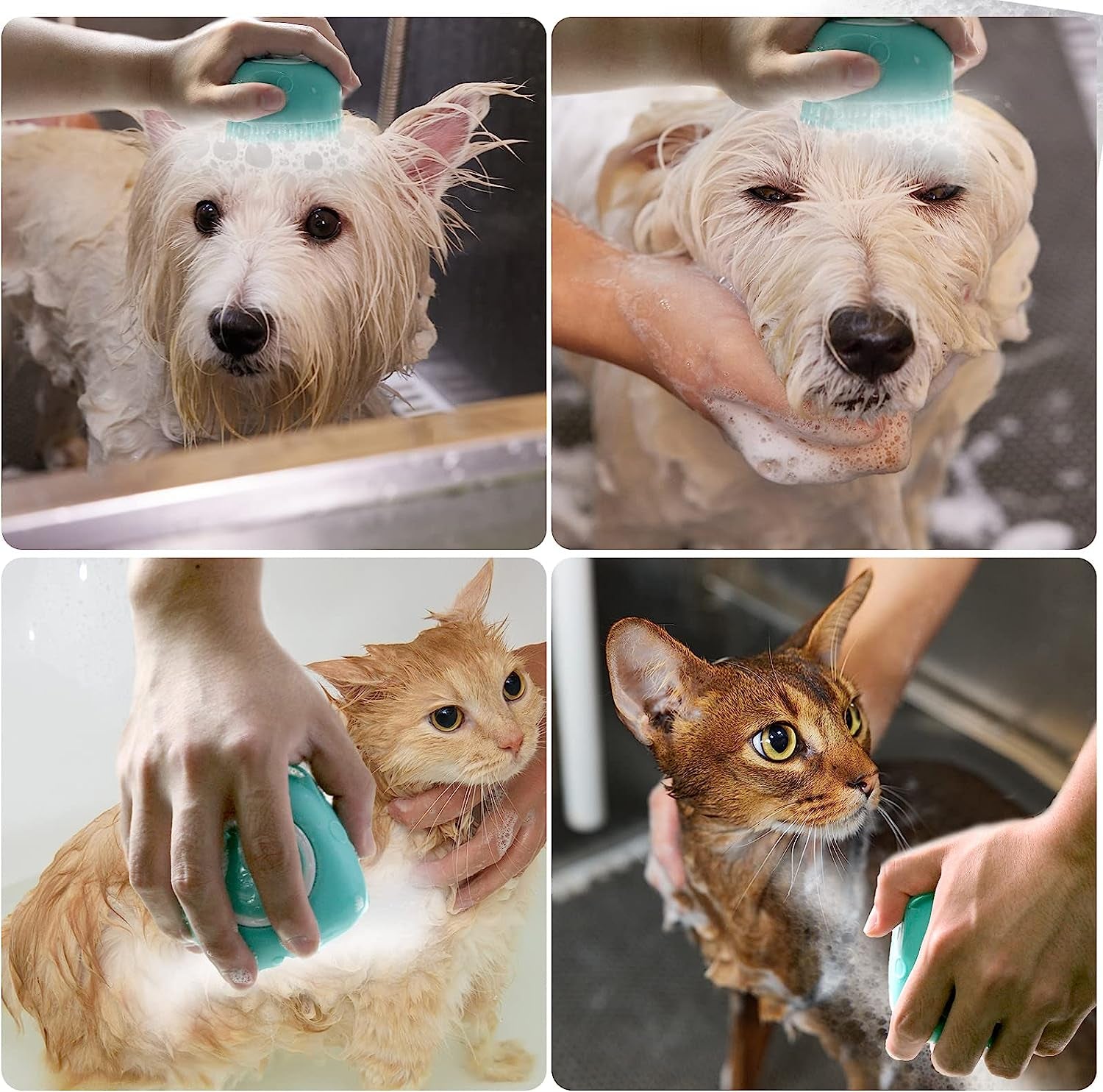 Soft Silicone Pet Bath Brush with Shampoo Dispenser for Dogs and Cats - Grooming Shower Brush (Blue)